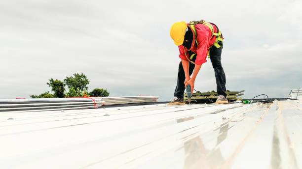 Best Roof Moss and Algae Removal  in Peotone, IL