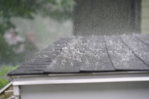 Best Metal Roofing Installation  in Peotone, IL