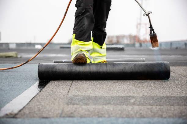 Best Roof Leak Repair  in Peotone, IL